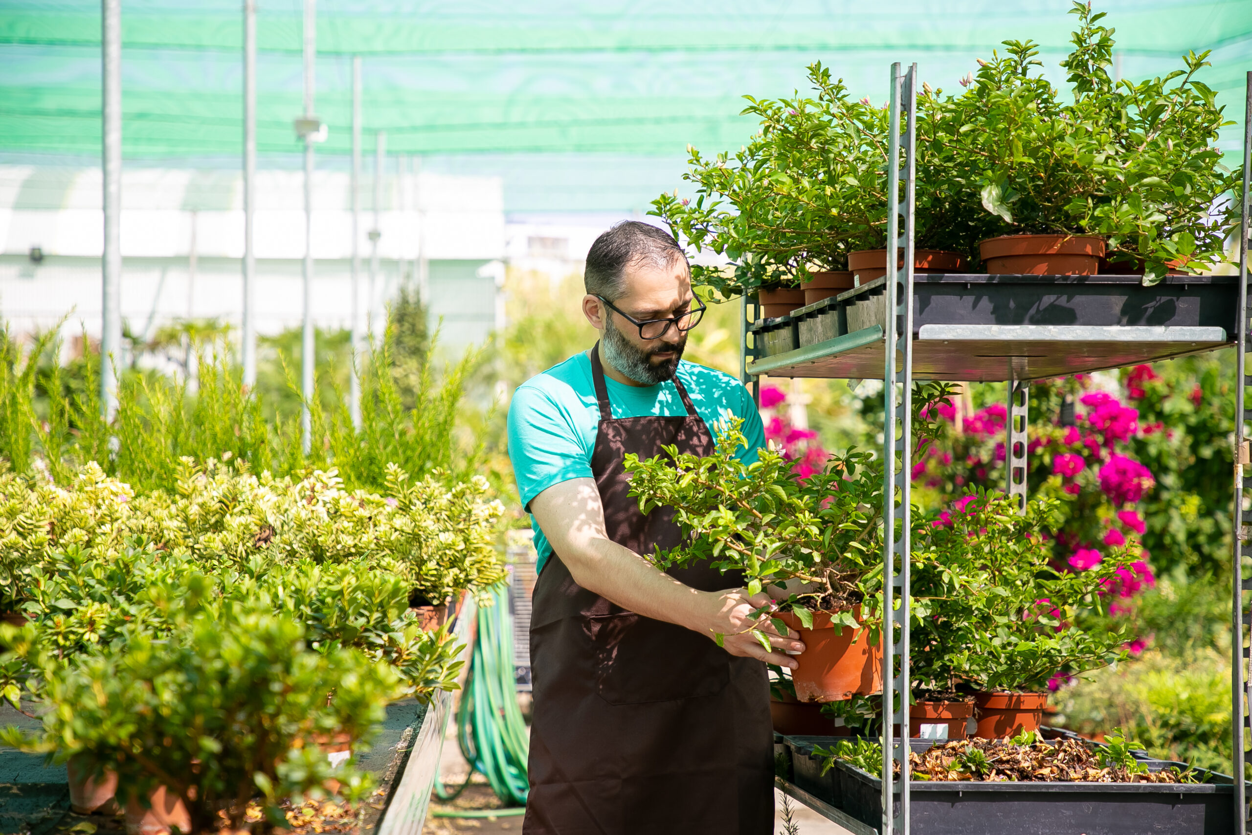 Simple Ways to Grow Plants Successfully