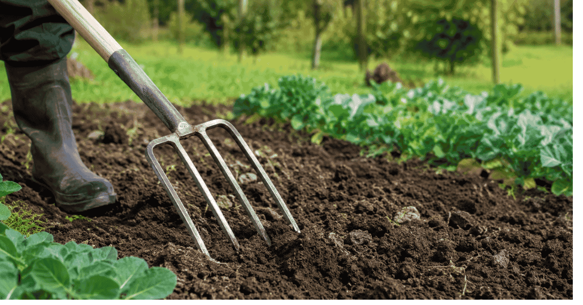 Fork Gardening