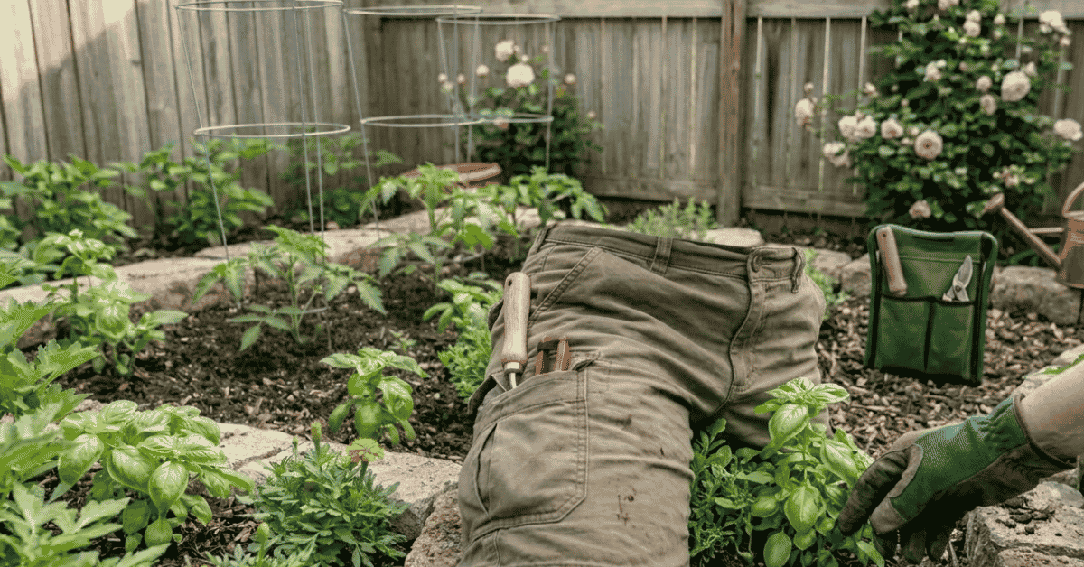 Gardening Shorts
