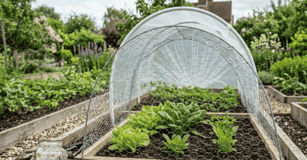 Gardening Wallpaper