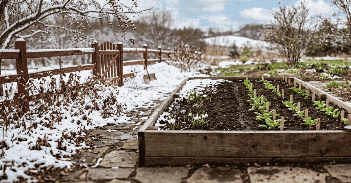 Month by Month Gardening in Minnesota