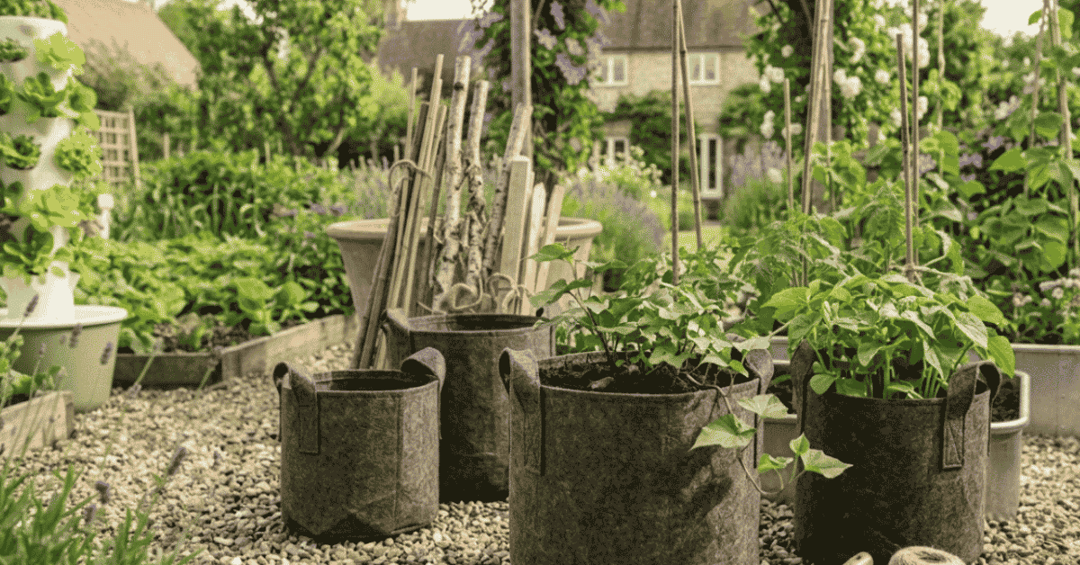 Shade Cloth Gardening