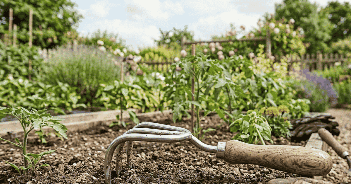 claw gardening tool