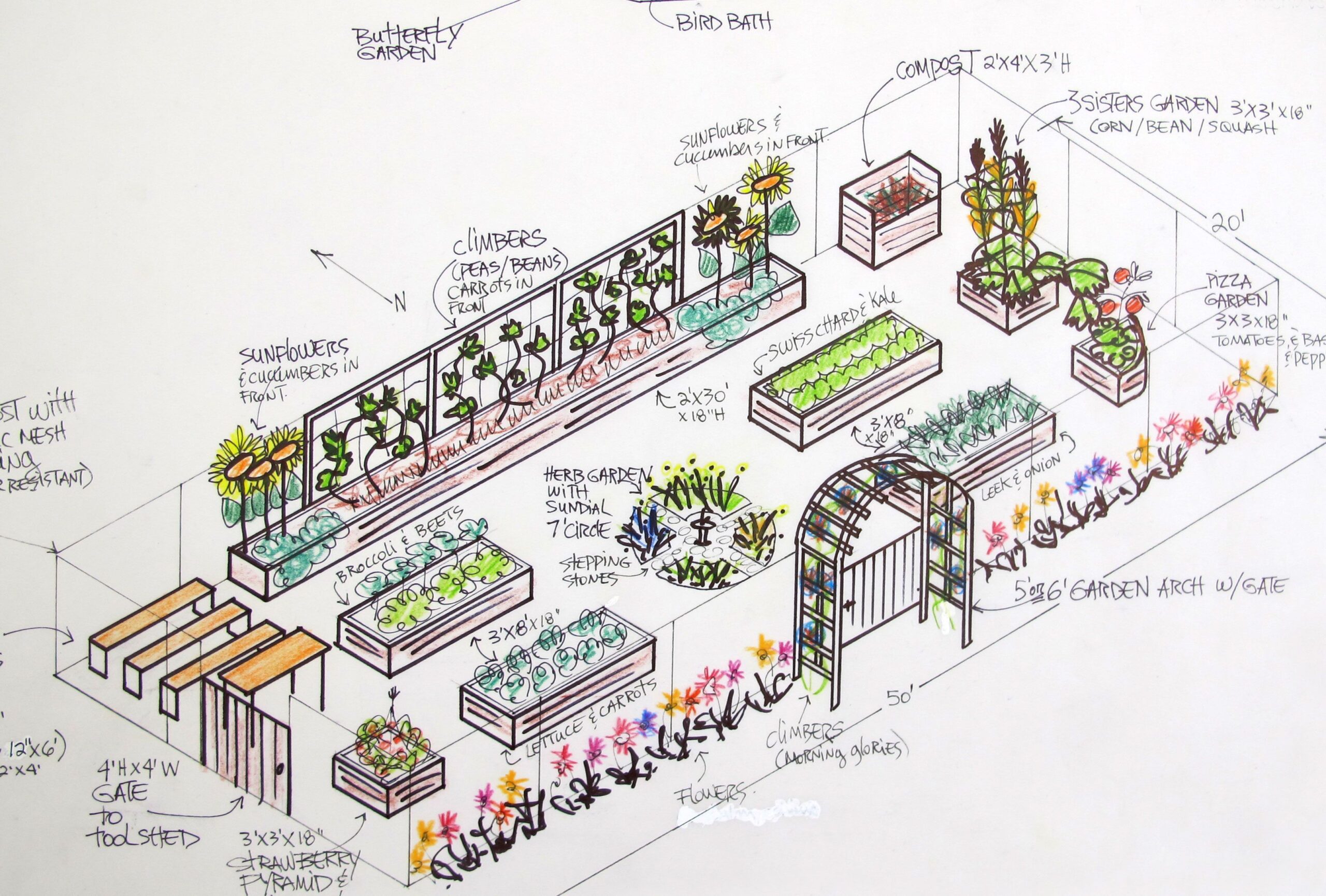 Garden Bed Plant Layout