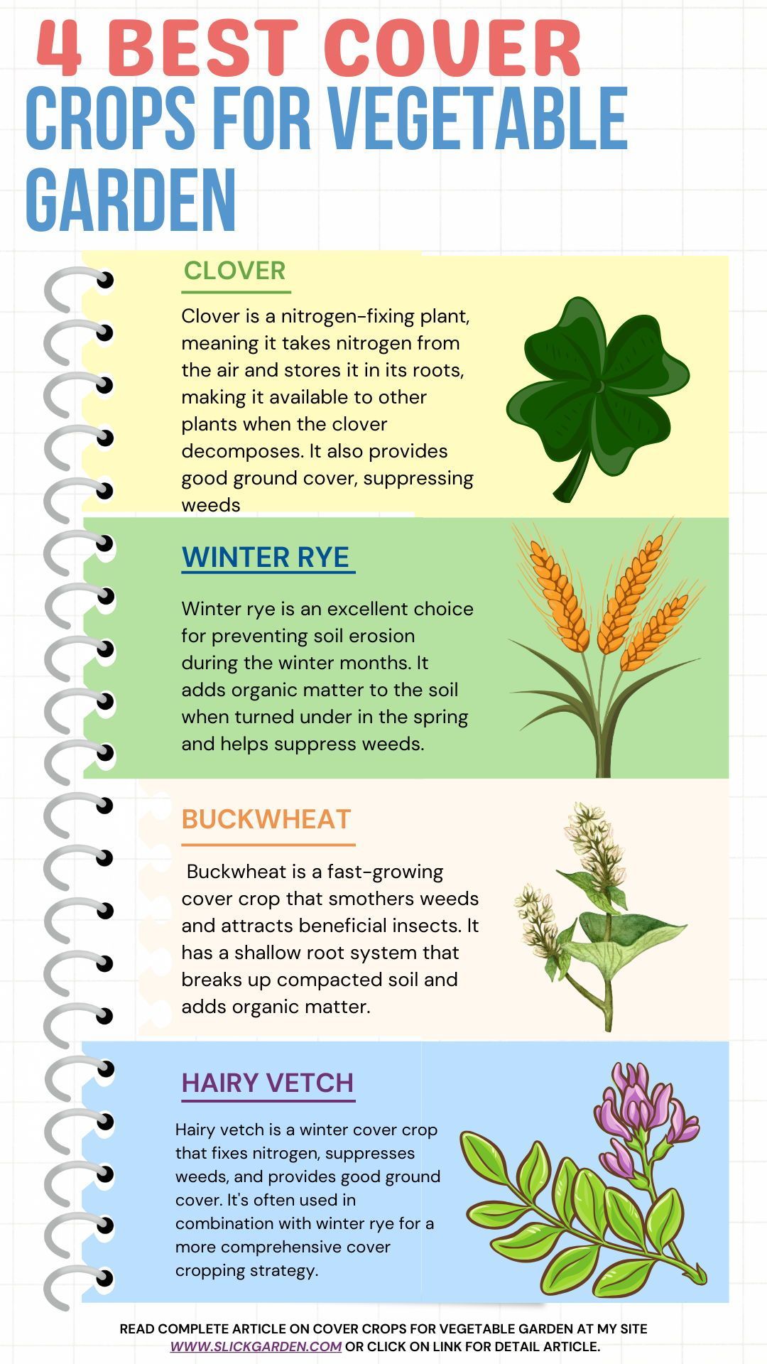 Vegetable Garden Cover Crop