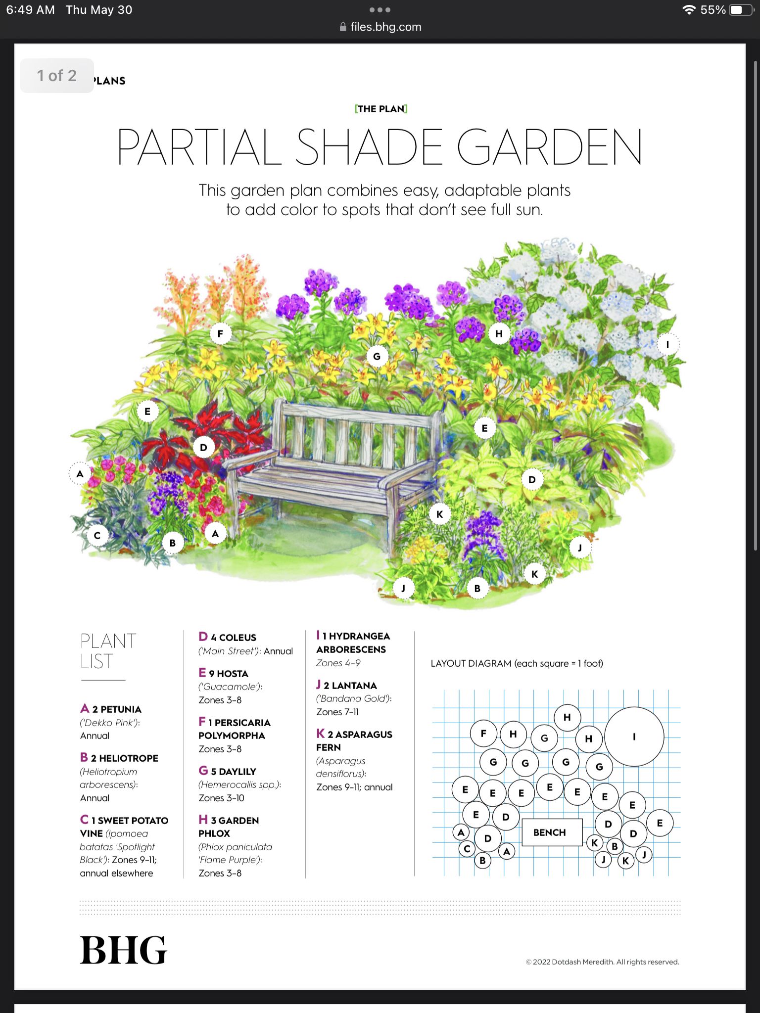 Partial Shade Garden Layout