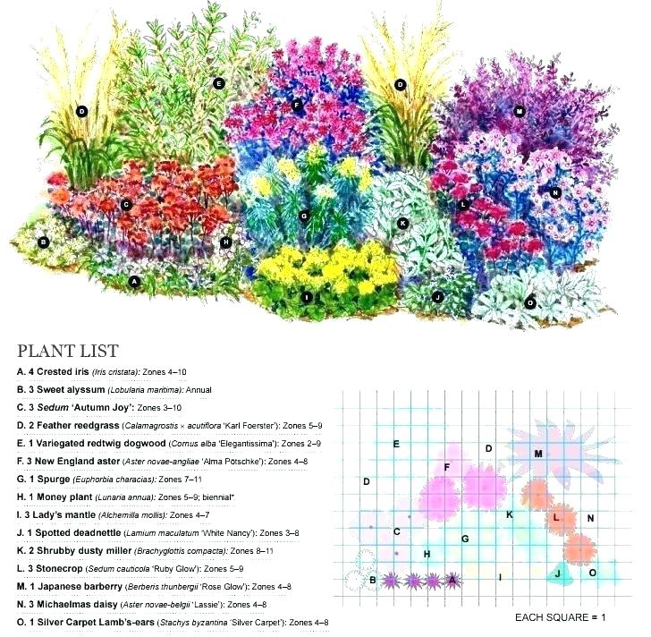 Perennial Garden Ideas Zone 4