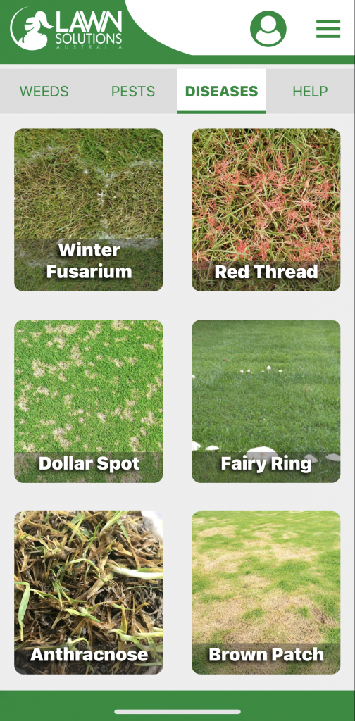App To Identify Lawn Problems