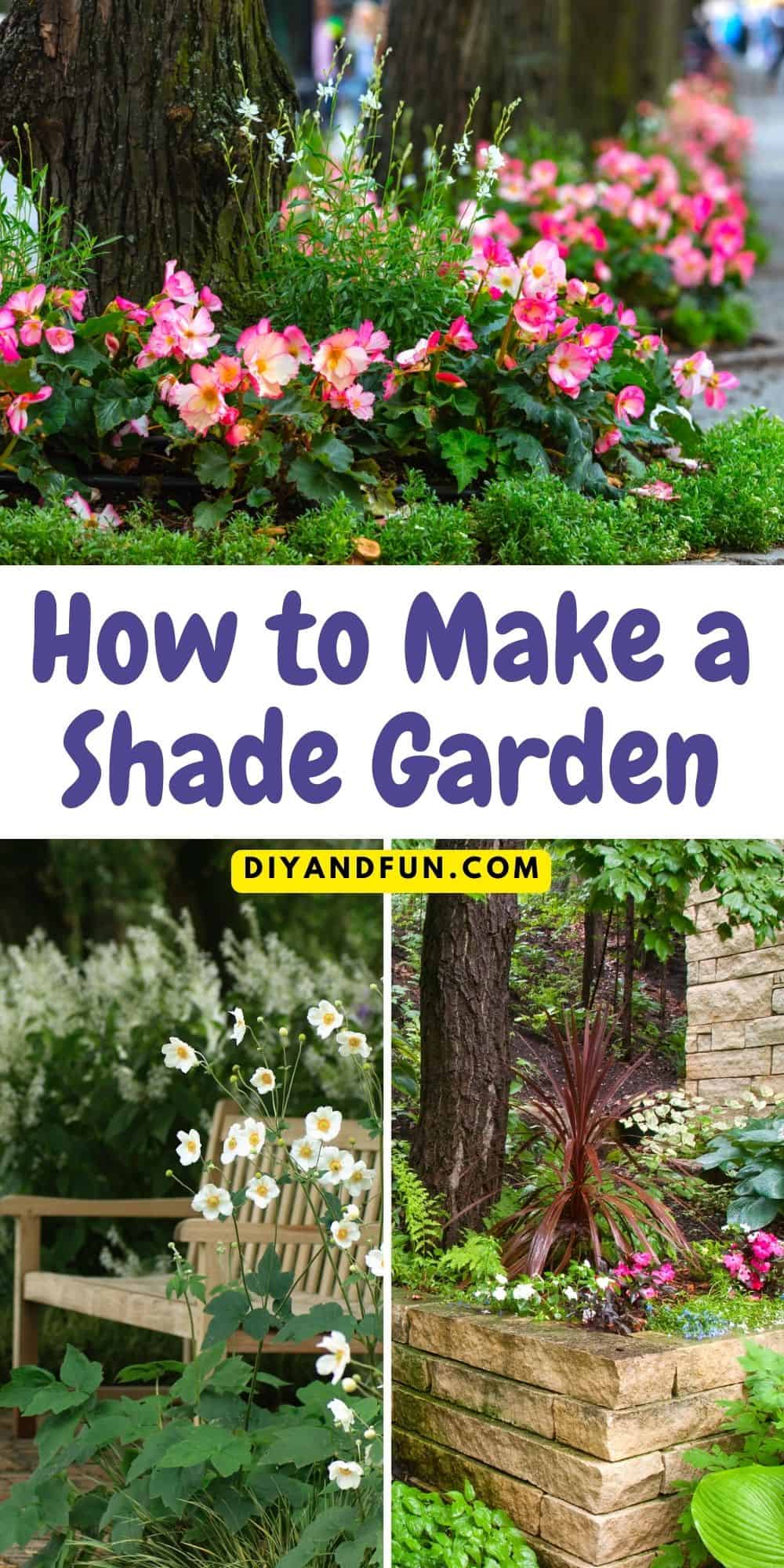 Creating A Shade Garden